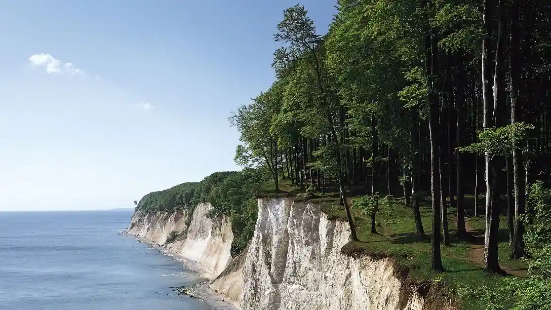 Kreidefelsen auf Rügen